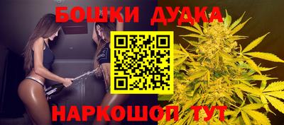 Альфа ПВП Обь