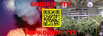 индика Обнинск