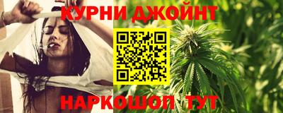 индика Обнинск