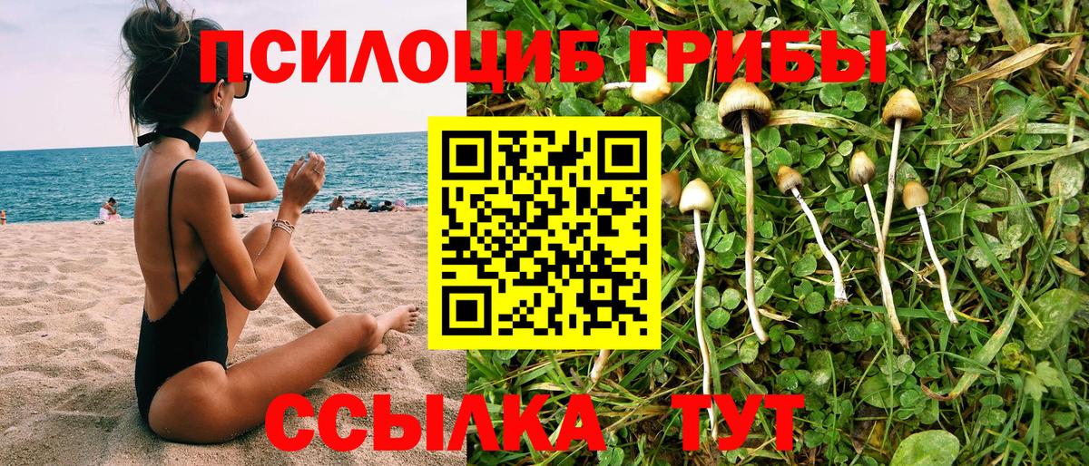 Галлюциногенные грибы Psilocybe  Псилоцибиновые грибы Cubensis  Усинск  Вход с VPN 
